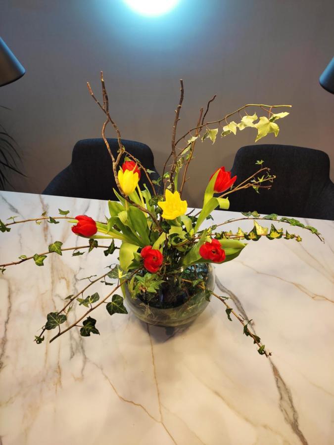Nino Luxury Apartment Zagrzeb Zewnętrze zdjęcie